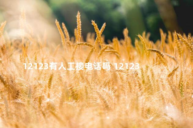 12123有人工接电话吗 12123有人工接电话吗tx